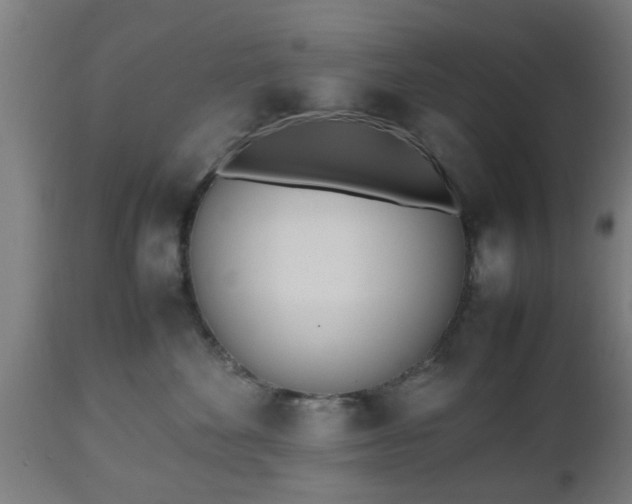 X0000112490524200908241329