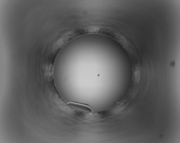 X0000112490525200908241329