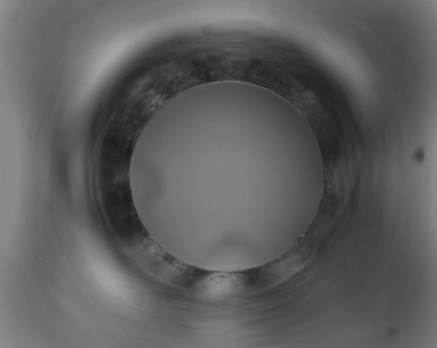 X0000112490526200908241329