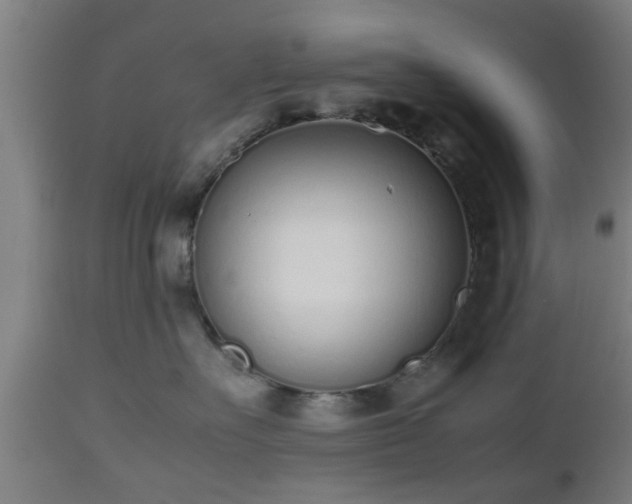 X0000112490527200908241328