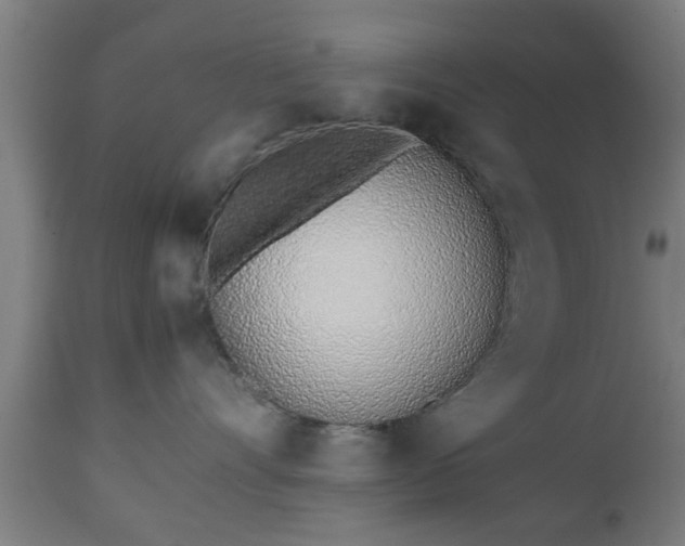 X0000112490528200908241328