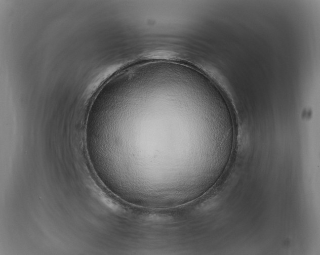 X0000112490529200908241328