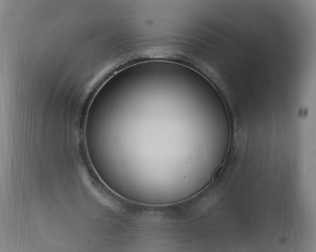 X0000112490530200908241328