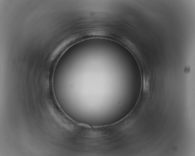 X0000112490531200908241328