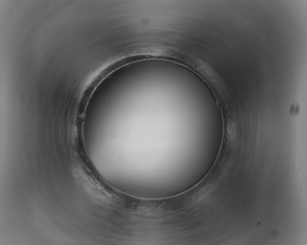 X0000112490532200908241328