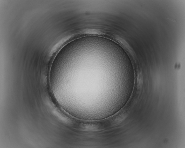 X0000112490533200908241328