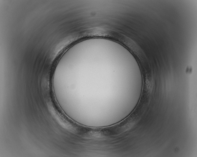 X0000112490534200908241328