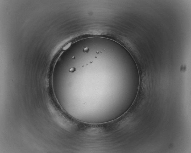 X0000112490536200908241328