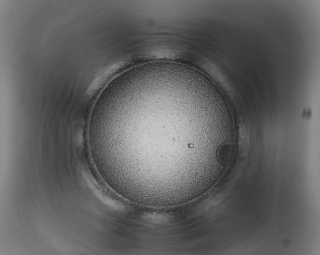 X0000112490537200908241328