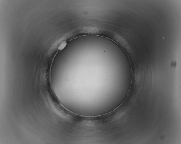 X0000112490538200908241328