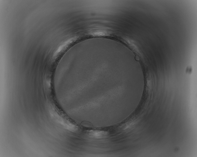 X0000112490539200908241328