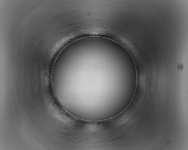 X0000112490540200908241328