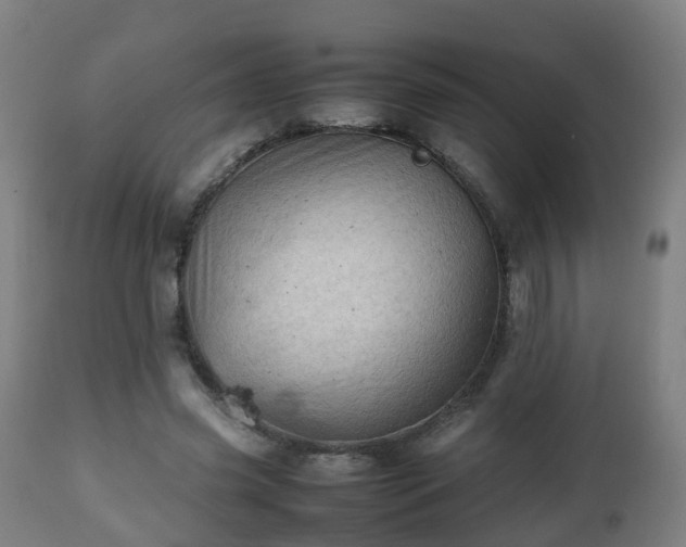 X0000112490541200908241328