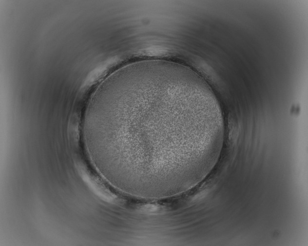 X0000112490542200908241328