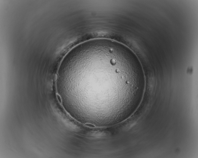 X0000112490545200908241328