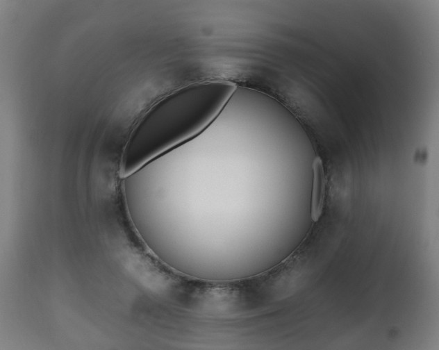 X0000112490546200908241328