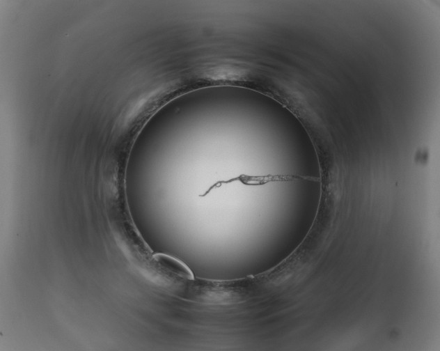 X0000112490547200908241328