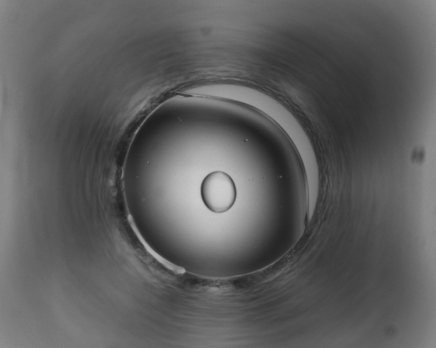 X0000112490548200908241328