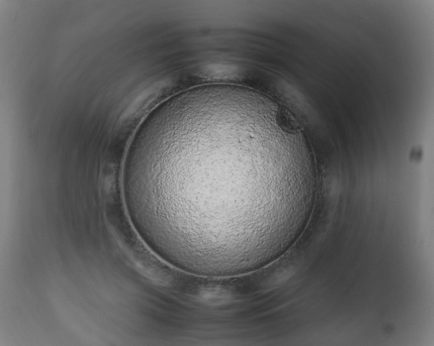 X0000112490549200908241328