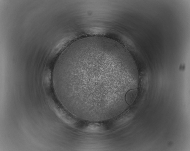 X0000112490550200908241328