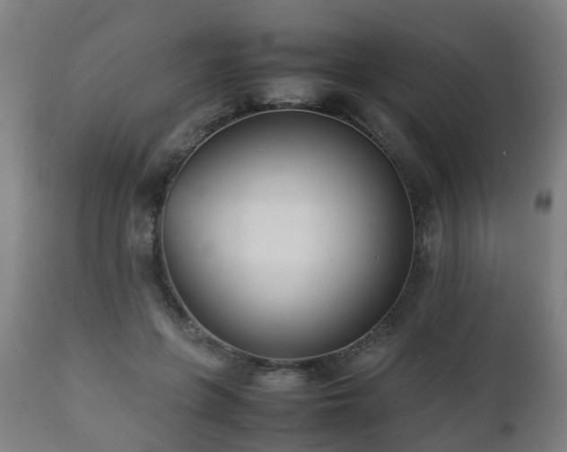 X0000112490551200908241328