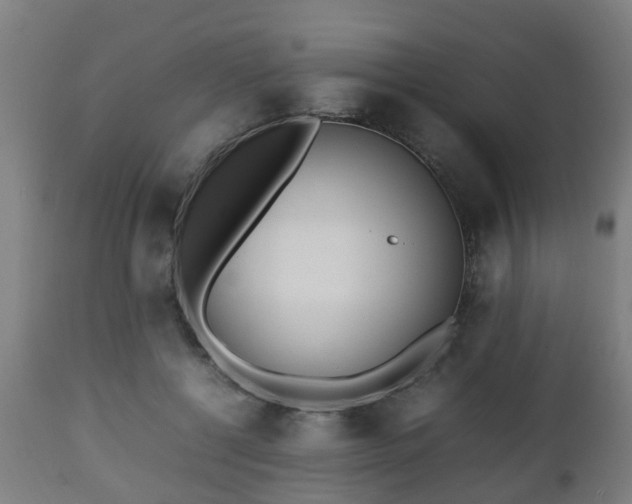 X0000112490552200908241328