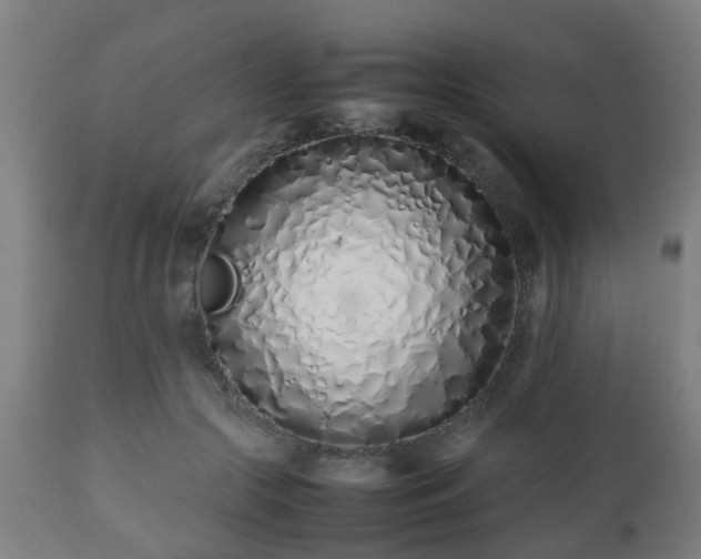 X0000112490553200908241328