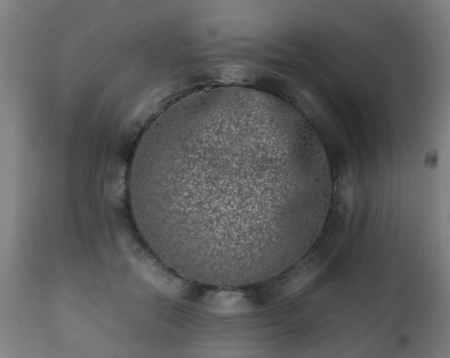 X0000112490554200908241328