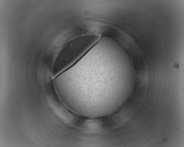 X0000112490556200908241328