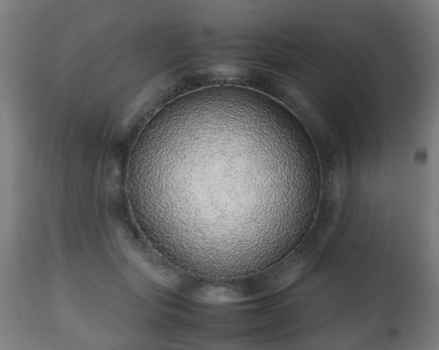 X0000112490557200908241328