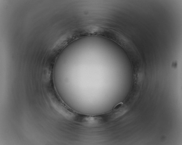 X0000112490558200908241328