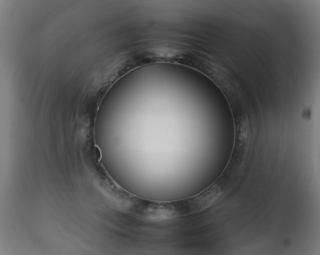 X0000112490559200908241328