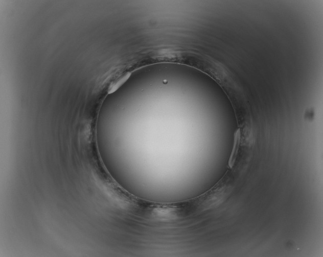 X0000112490560200908241328