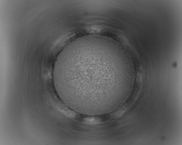 X0000112490561200908241328