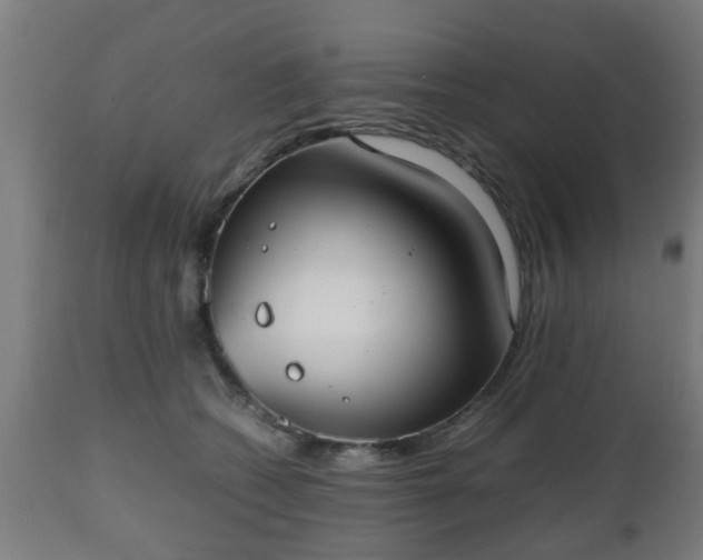 X0000112490562200908241328