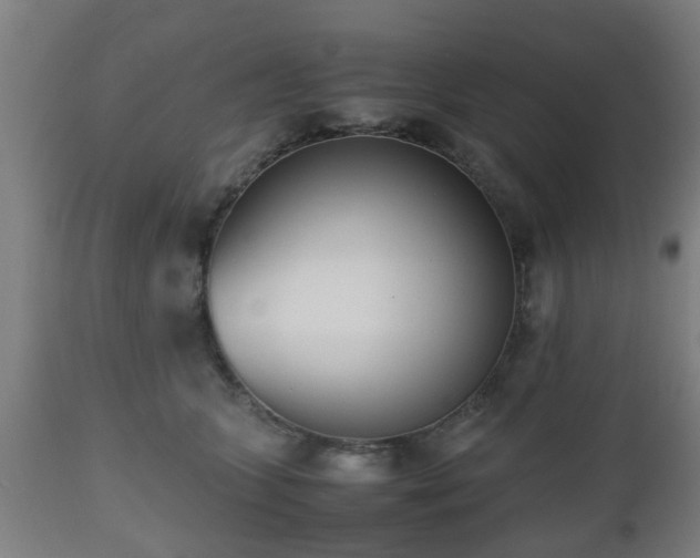 X0000112490563200908241328