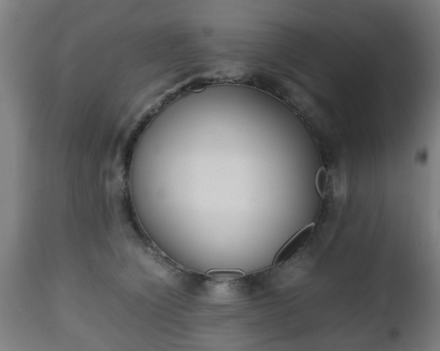 X0000112490564200908241328