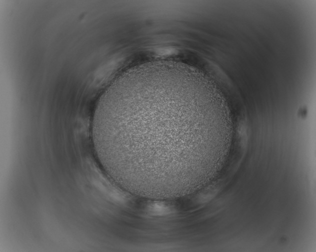 X0000112490565200908241328