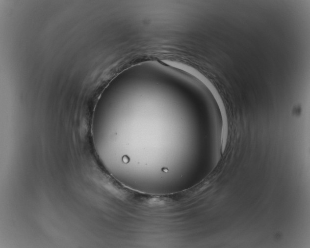 X0000112490566200908241328