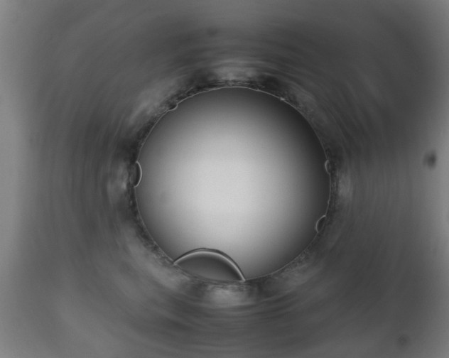 X0000112490567200908241328