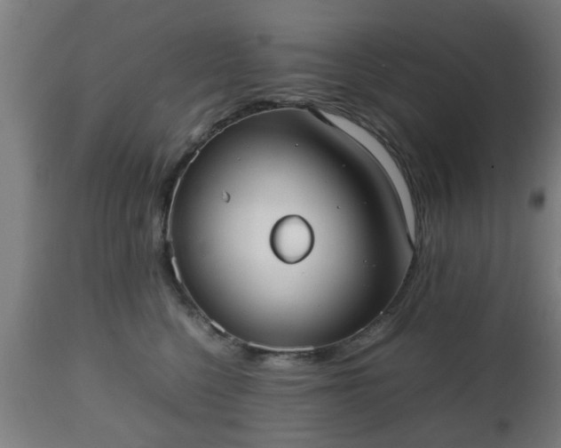 X0000112490568200908241328