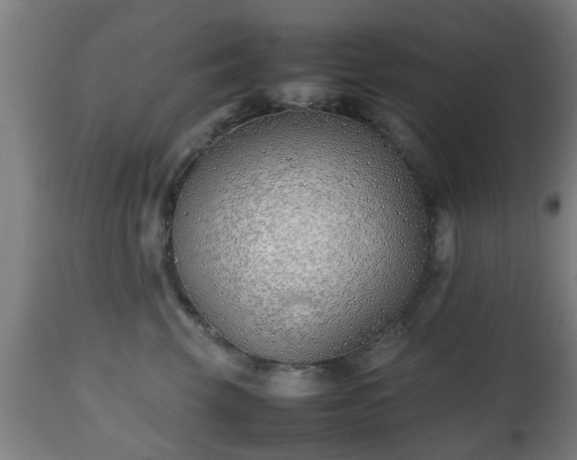 X0000112490569200908241328