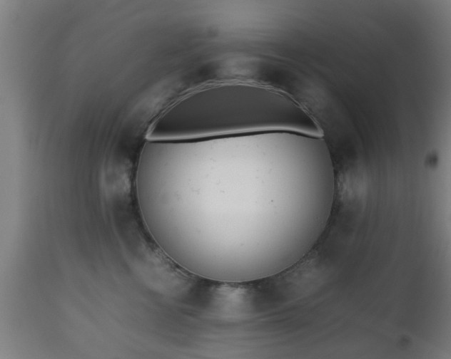 X0000112490570200908241328