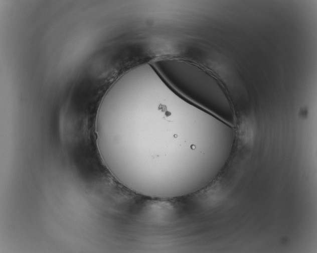 X0000112490572200908241328