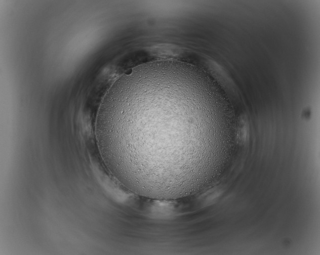 X0000112490573200908241328