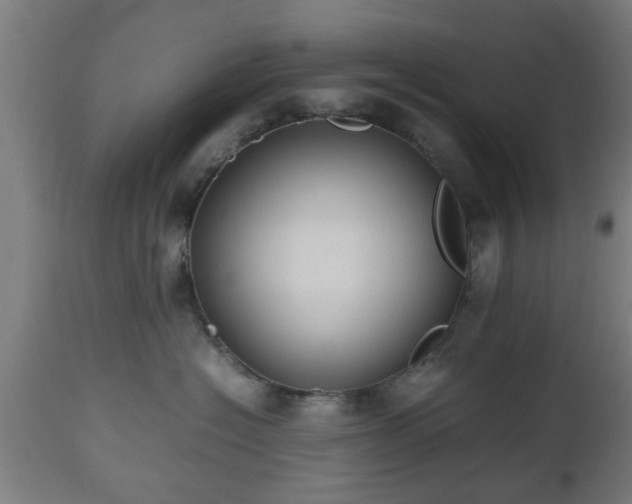 X0000112490574200908241328