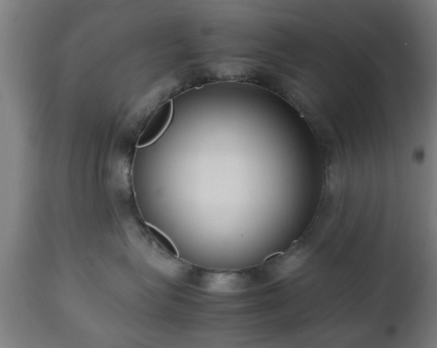 X0000112490575200908241328