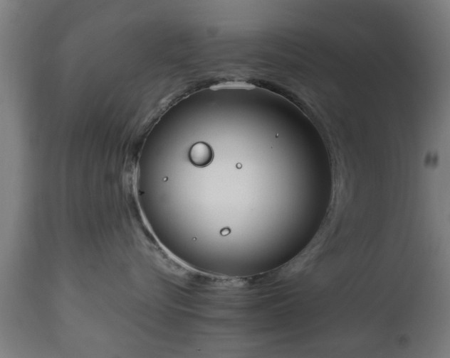 X0000112490576200908241328