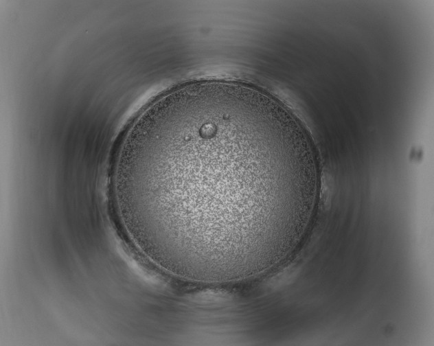 X0000112490578200908241328