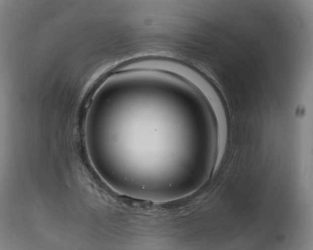 X0000112490579200908241328